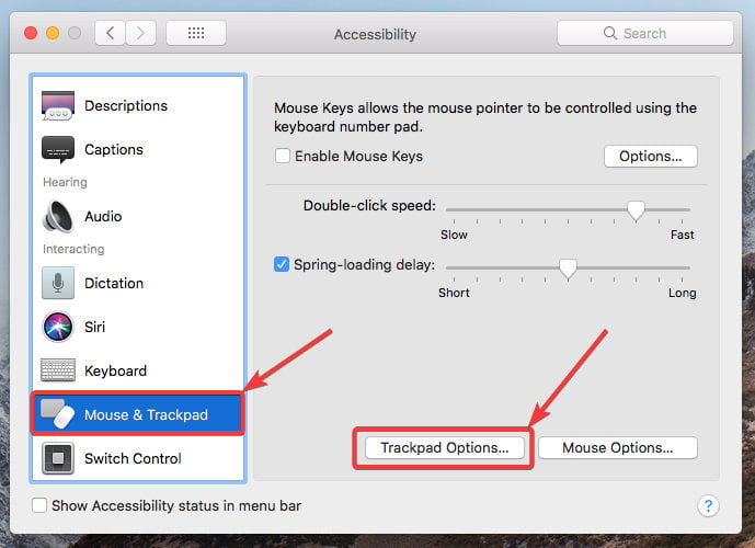 Accessibility - Mouse and Trackpad - Trackpad Options